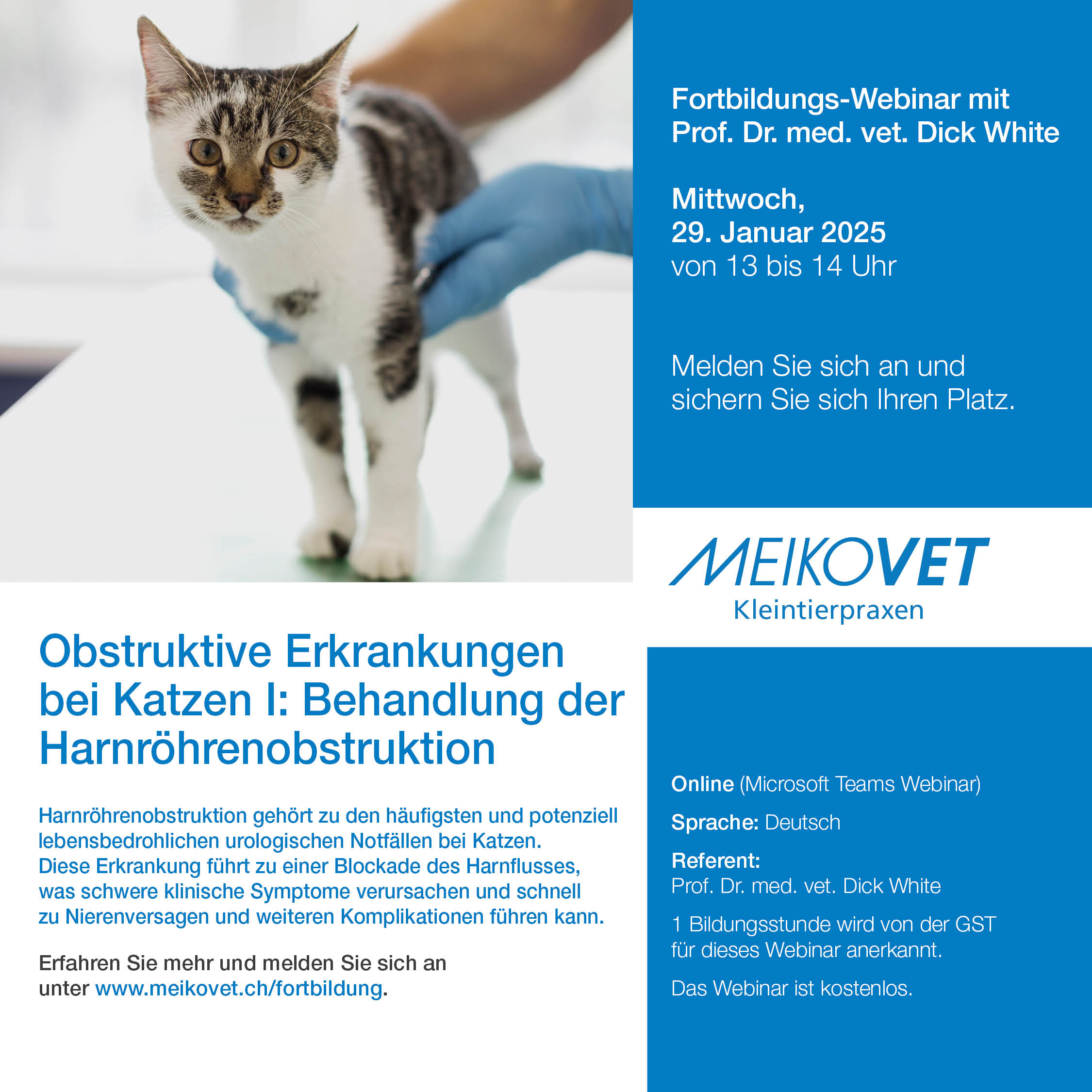 Obstruktive Erkrankungen bei Katzen I: Behandlung der Harnröhrenobstruktion