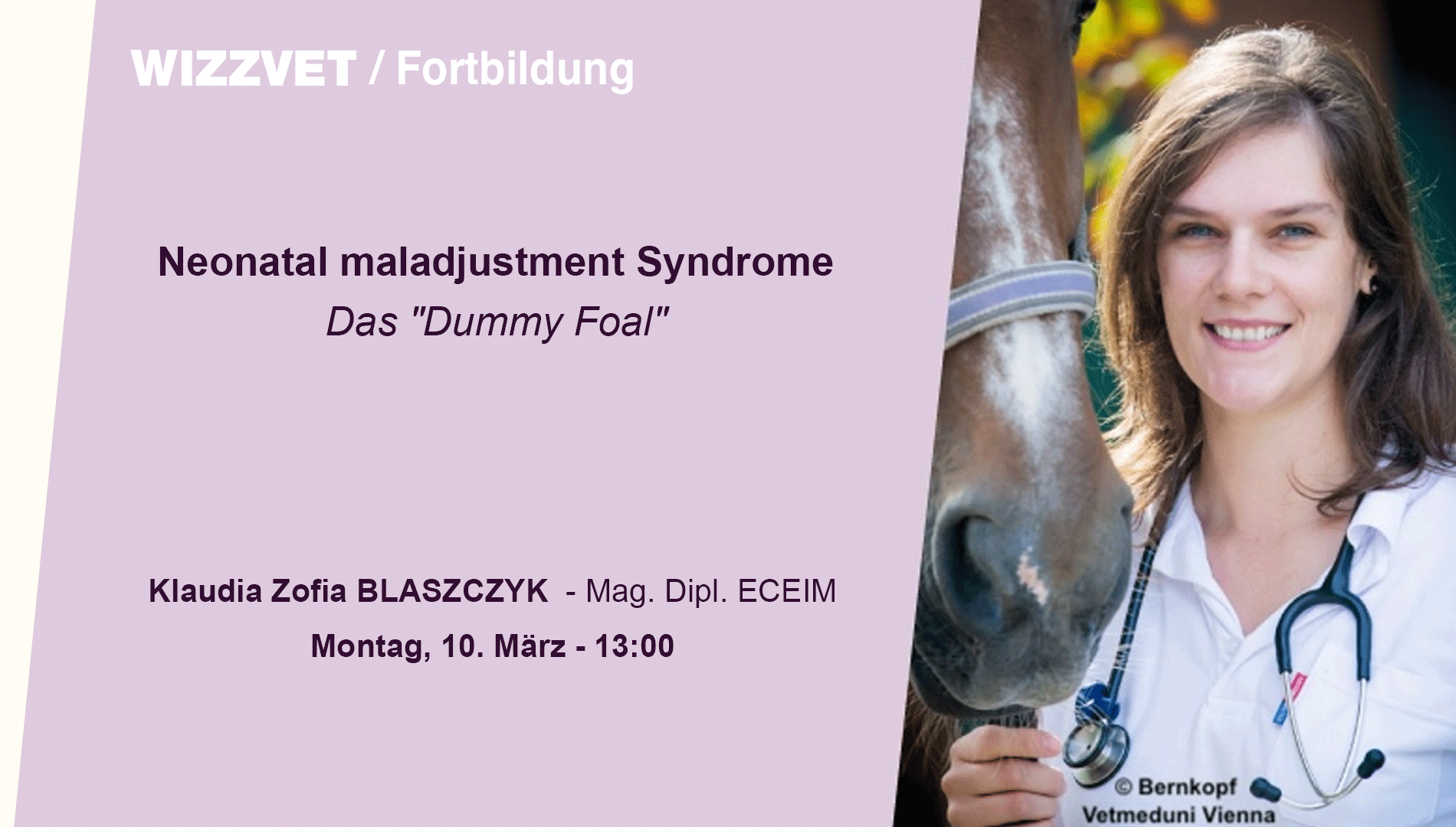 Neonatal maladjustment Syndrome - das "Dummy Foal"