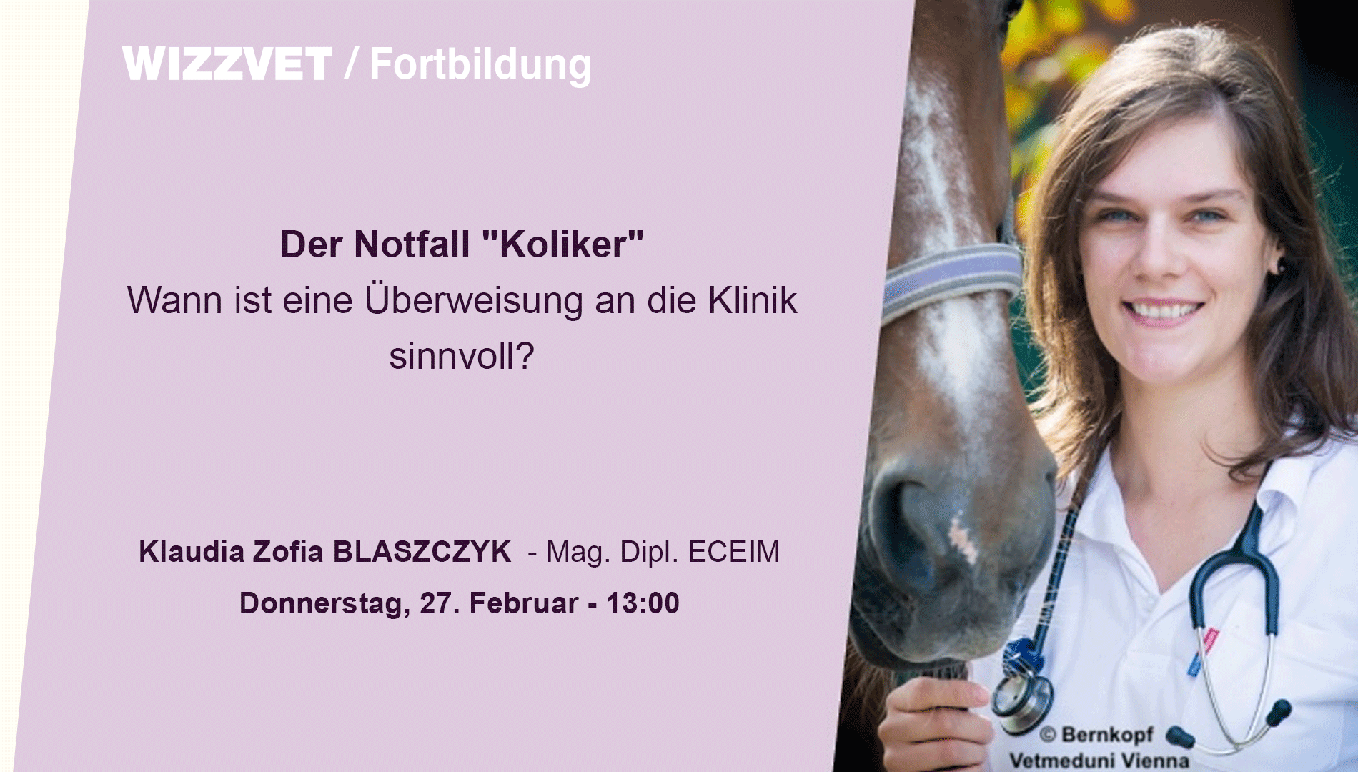 Der Notfall "Koliker" - Wann ist eine Überweisung an die Klinik sinnvoll?