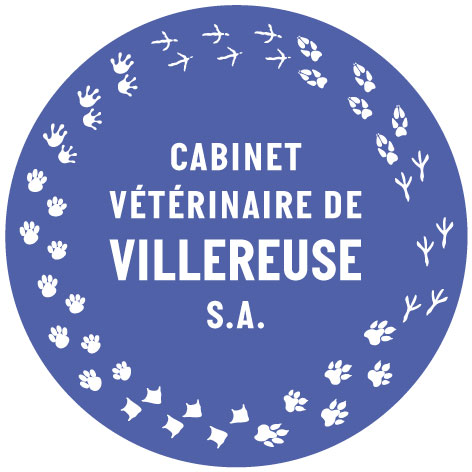 Cabinet vétérinaire Villereuse SA