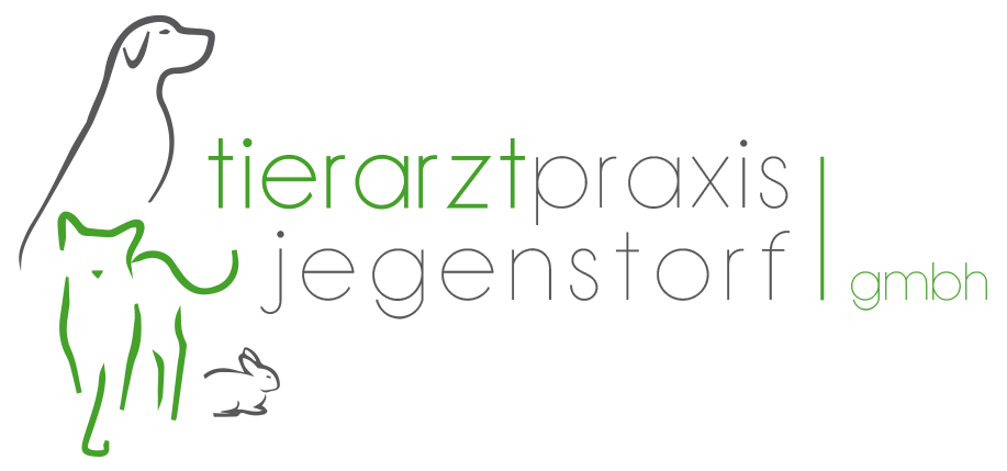 Tierarztpraxis Jegenstorf GmbH 