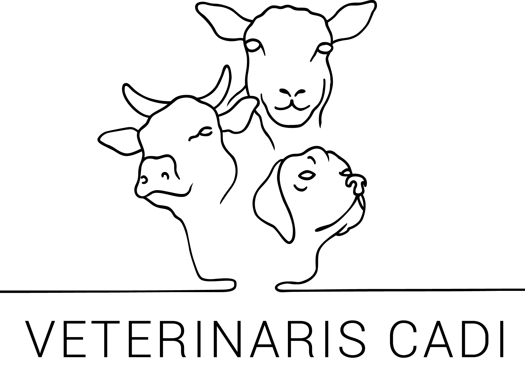 Veterinaris Cadi GmbH