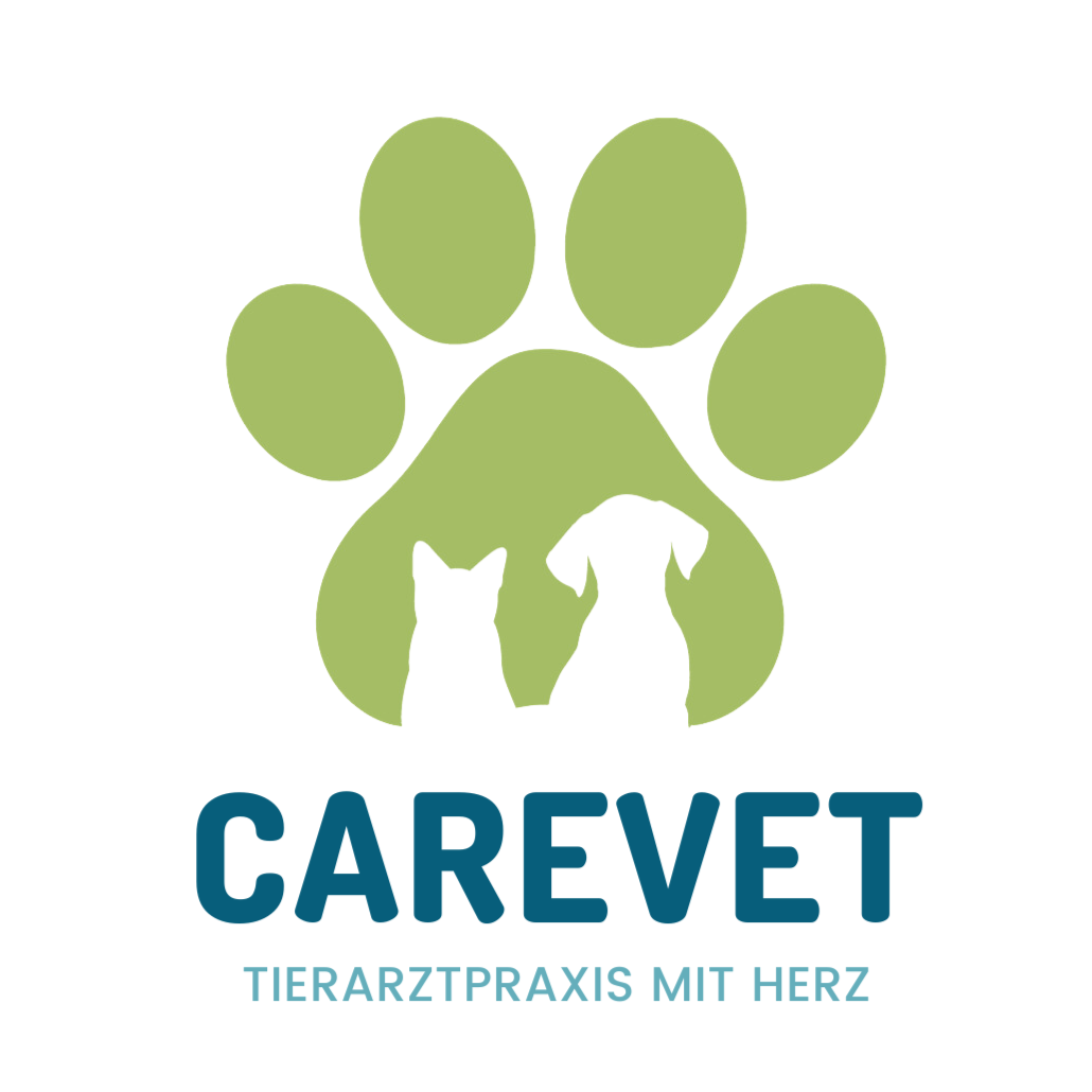 Tierarztpraxis CareVet