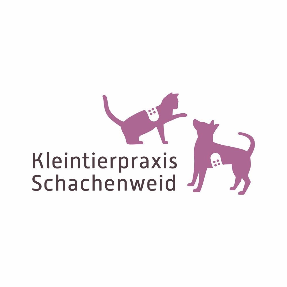 Kleintierpraxis Schachenweid AG